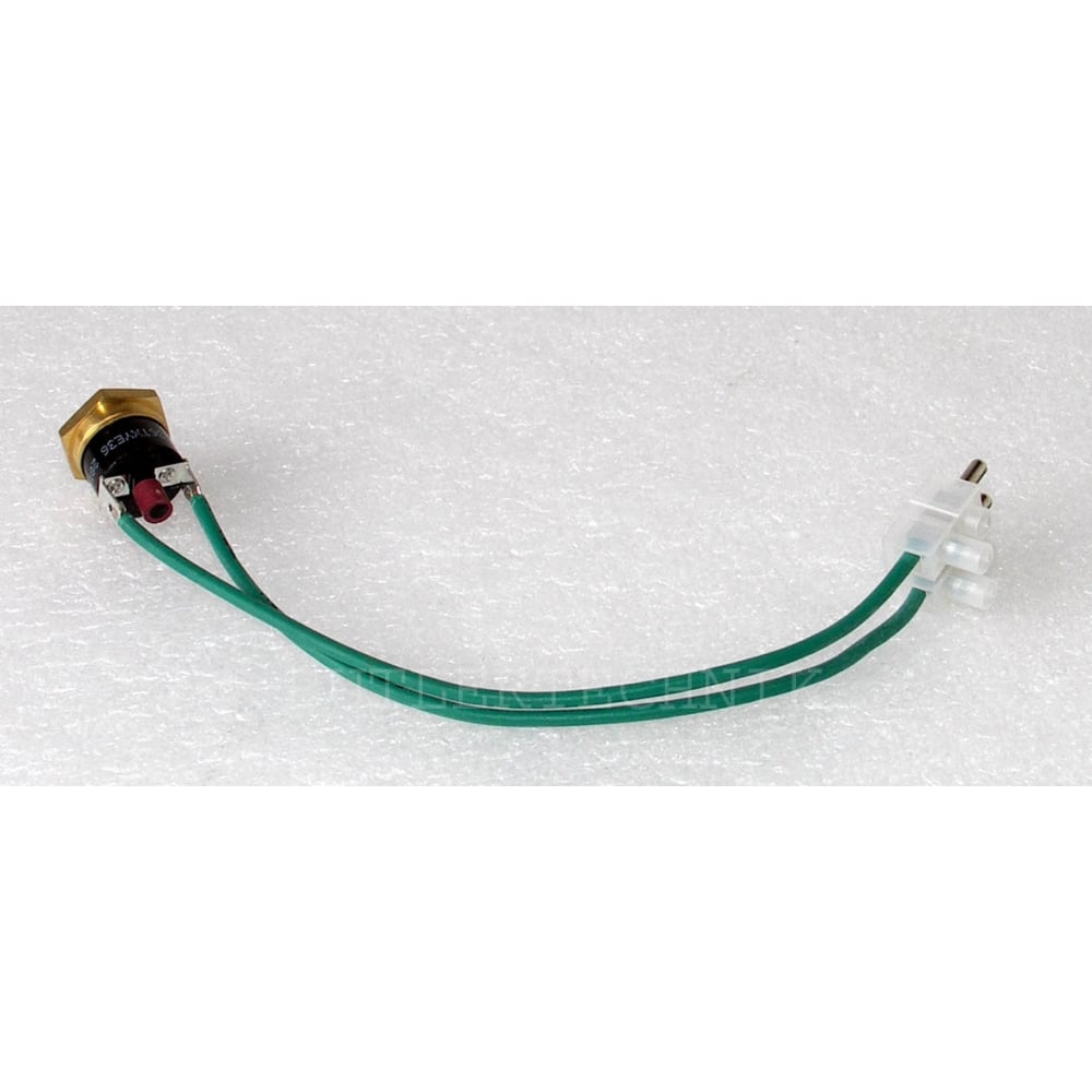 Webasto Green Dbw Overheat Thermostat 117Deg | 408719 | 1319410A