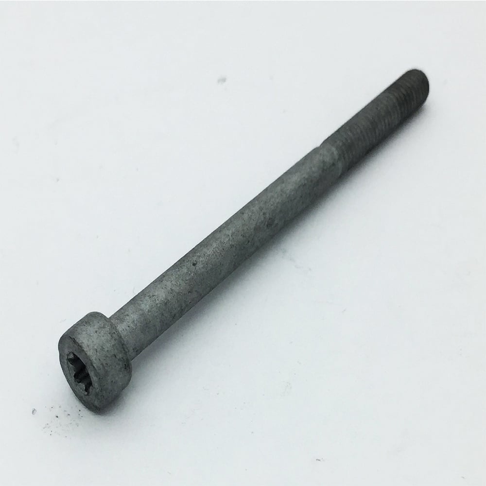 Eberspacher Screw Torx 65mm ECU