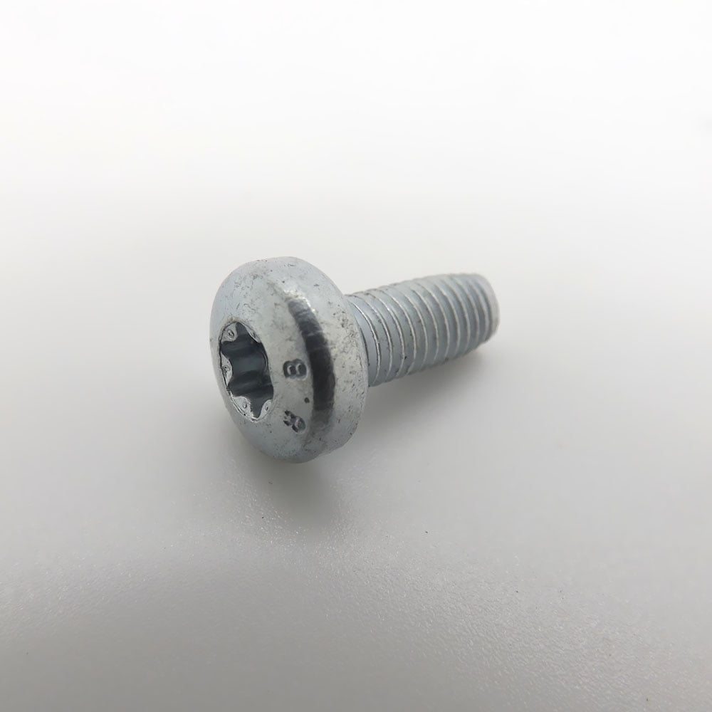 Eberspacher Heater Torx Screw M5 x 12 | 10310348