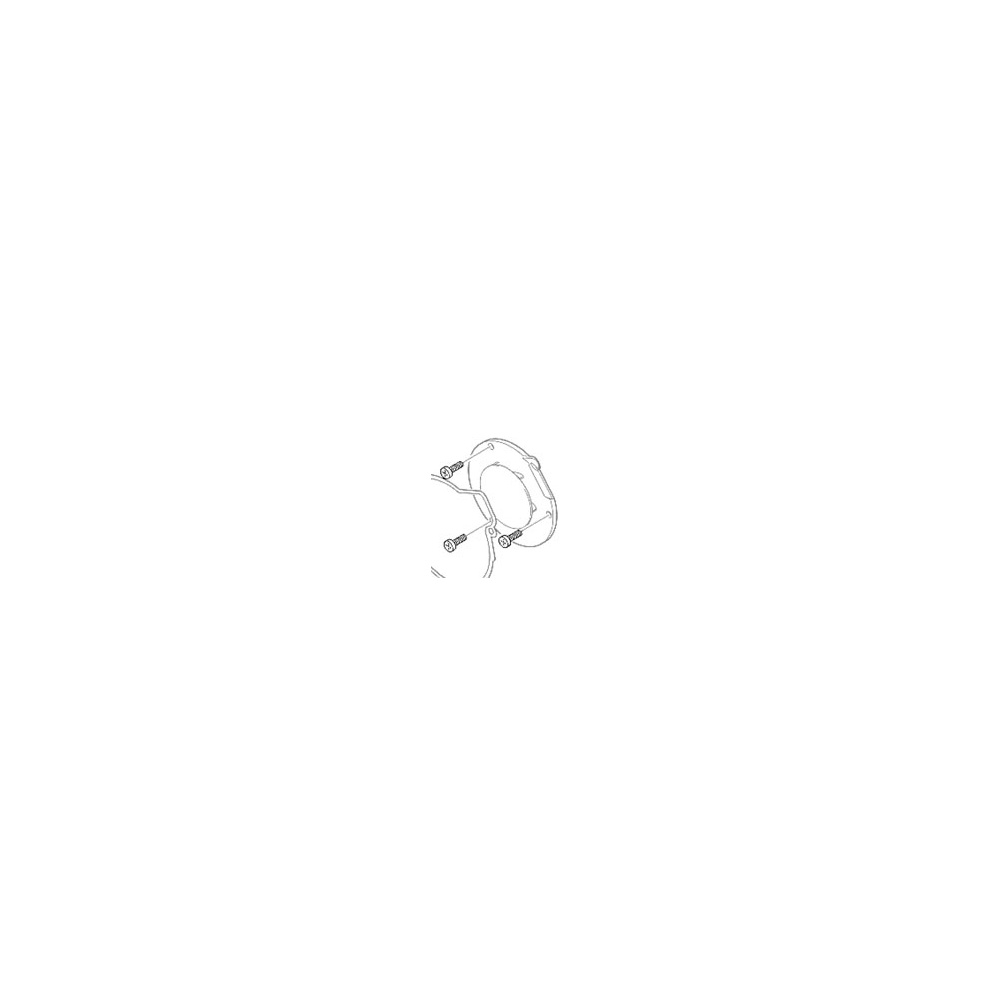 Eberspacher Heater Screw M5 x 15 | 10900044