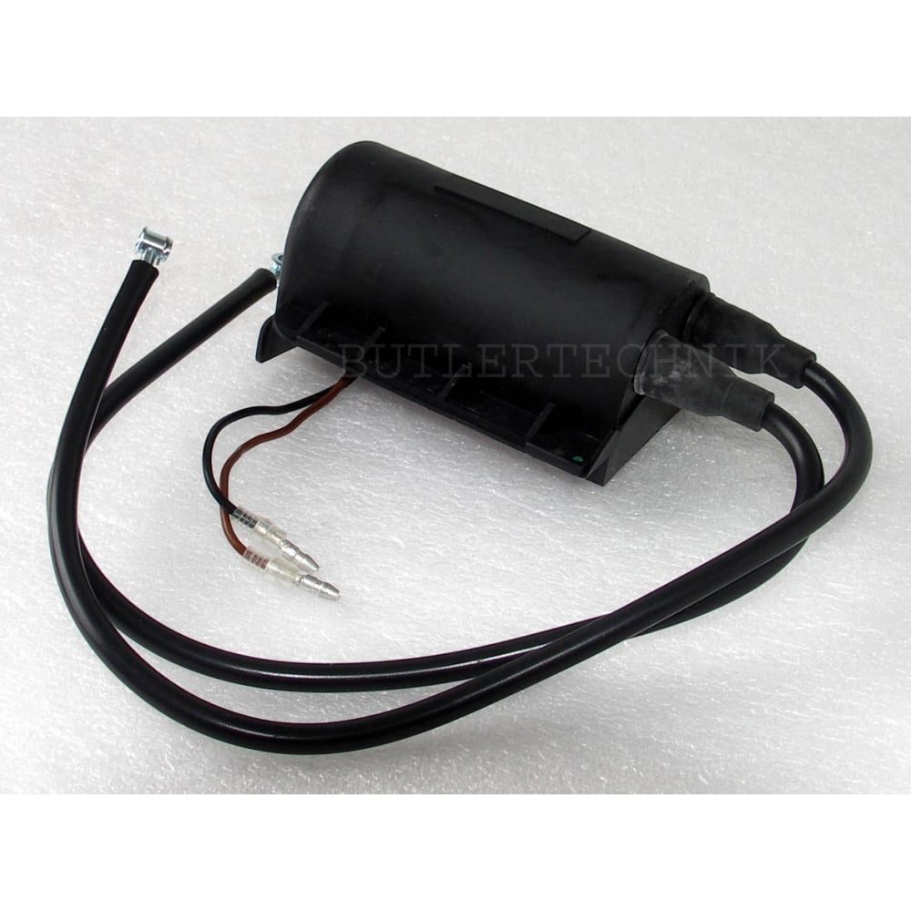 Webasto water heater DBW Spark Ignition Unit 12v | 388807 | 1319390A
